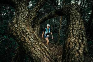 BIB: 
                            <button type="button" onclick="openModal(25682708)" class="btn btn-primary btn-sm float-right btn-popup" data-toggle="modal" data-target=".modal-high-quality">
                        <i class="fas fa-shopping-cart"></i> Add to Cart
                    </button>
                                            <button type="button" onclick="isThisMe(25682708, true)" class="btn btn-success btn-sm float-right btn-popup btn-isme hidden" data-toggle="tooltip" data-placement="bottom" title="นี่คือรูปของคุณใช่ไหม คลิกที่นี่เพื่อเอาเข้าอัลบั้ม">
                        <i class="fas fa-plus"></i> Add to album
                    </button>
                    <button type="button" onclick="isThisMe(25682708, false)" class="btn btn-warning btn-sm float-right btn-popup btn-isnotme hidden">
                        <i class="fas fa-ban"></i> Remove from album
                    </button>